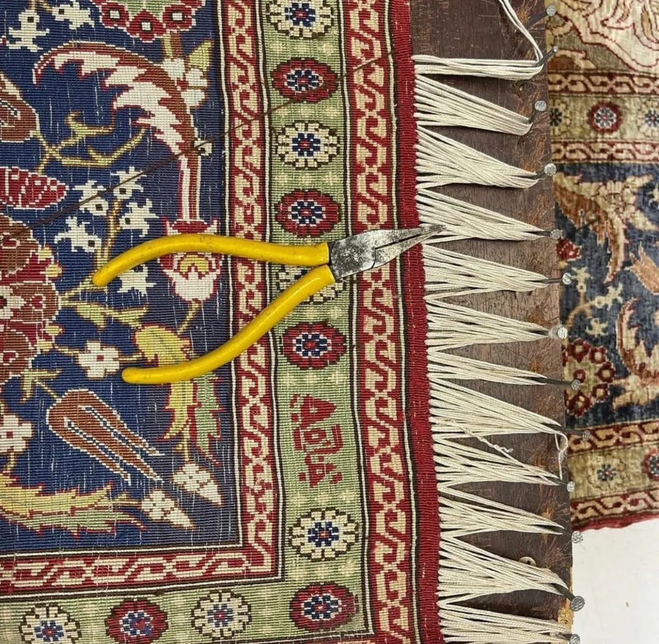 ترميم الشراشيب
